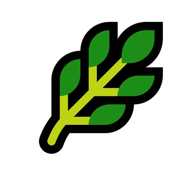 Muhammad Faisal Khan